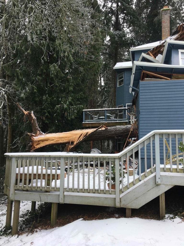 Storm Damage Cleanup - Lake Oswego Ice Storm - Downed Tree