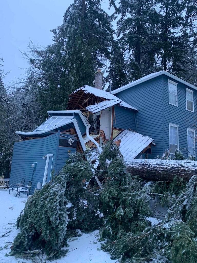 Storm Damage Cleanup - Lake Oswego Ice Storm - Downed Tree